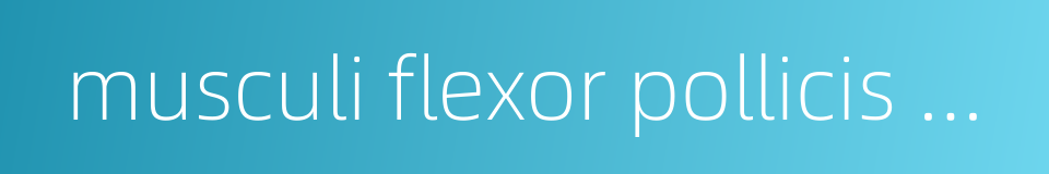 musculi flexor pollicis brevis的同义词