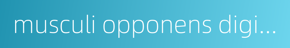 musculi opponens digiti quinti manus的同义词