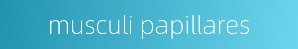 musculi papillares的同义词