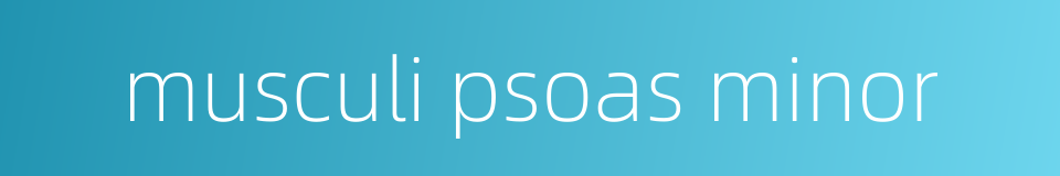 musculi psoas minor的同义词