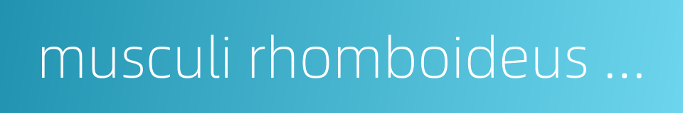 musculi rhomboideus major的同义词