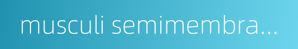 musculi semimembranosus的同义词