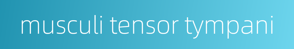 musculi tensor tympani的同义词
