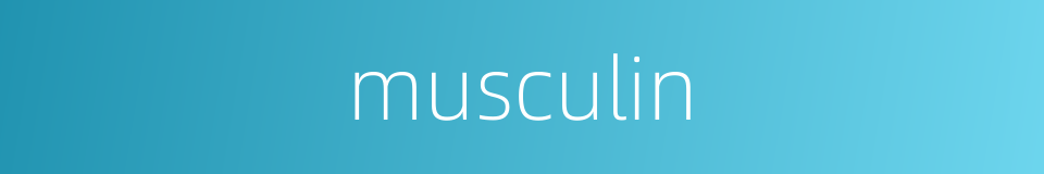 musculin的同义词