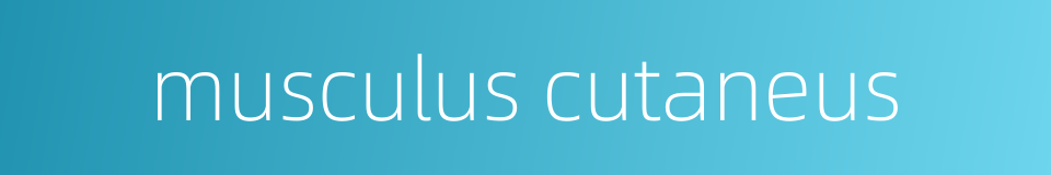 musculus cutaneus的同义词