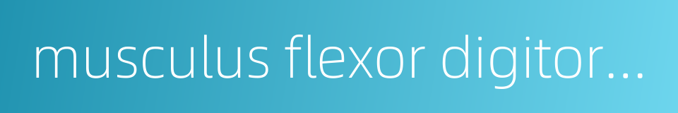 musculus flexor digitorum superficialis的同义词