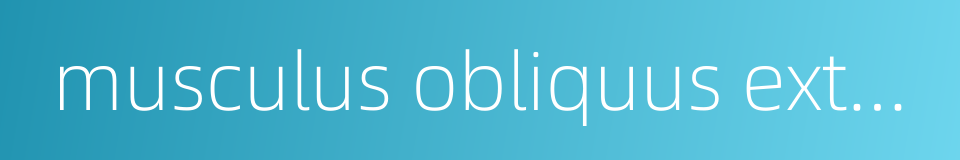 musculus obliquus externus abdominis的同义词