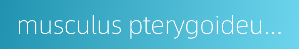 musculus pterygoideus lateralis的同义词