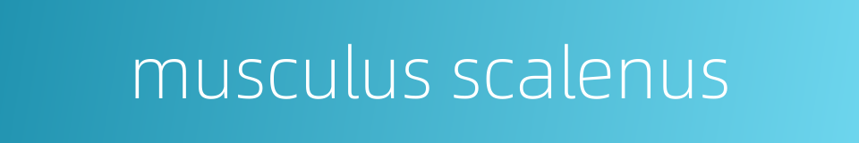 musculus scalenus的同义词