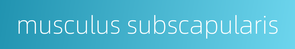 musculus subscapularis的同义词