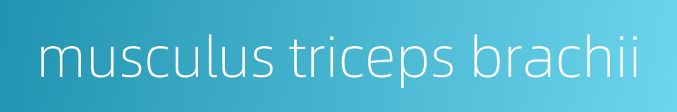 musculus triceps brachii的同义词