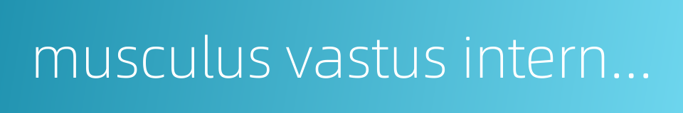 musculus vastus internus的同义词