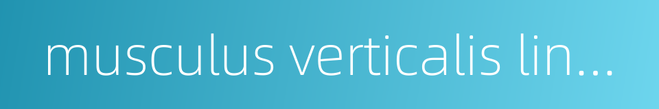 musculus verticalis linguae的同义词