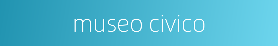 museo civico的同义词