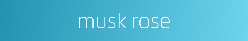 musk rose的同义词