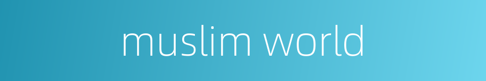 muslim world的同义词