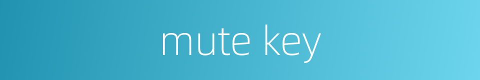 mute key的同义词