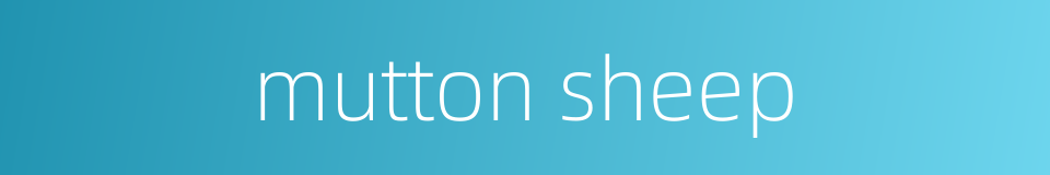 mutton sheep的同义词