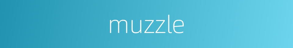 muzzle的同义词