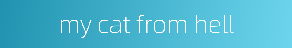 my cat from hell的同义词