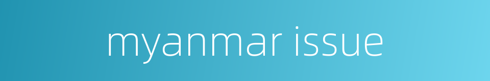 myanmar issue的同义词