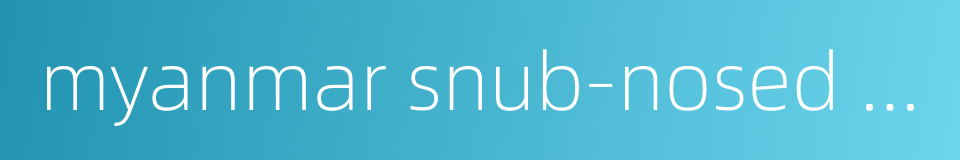 myanmar snub-nosed monkey的同义词