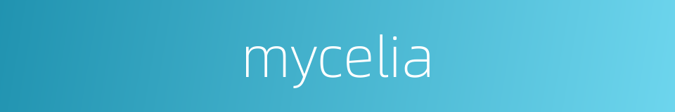 mycelia的同义词