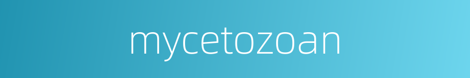 mycetozoan的同义词