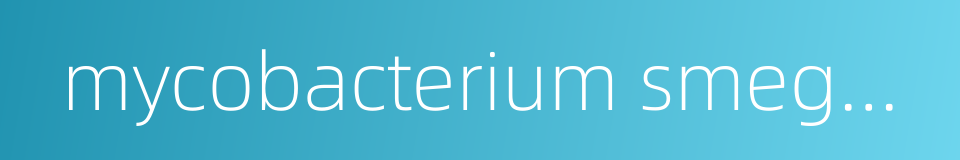 mycobacterium smegmatis的同义词