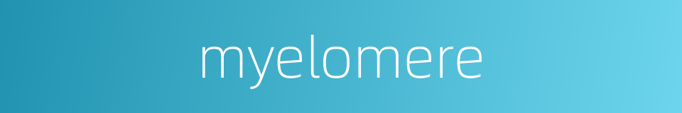 myelomere的同义词