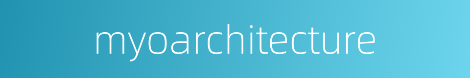 myoarchitecture的同义词