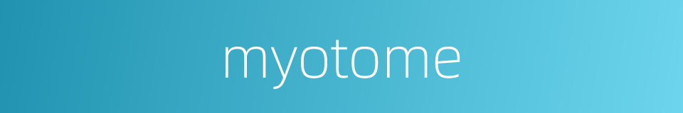 myotome的同义词