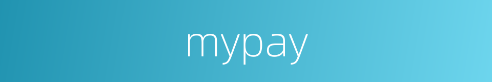 mypay的同义词