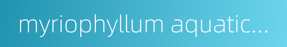 myriophyllum aquaticum的同义词