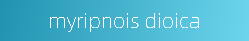myripnois dioica的同义词