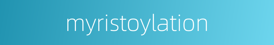 myristoylation的同义词