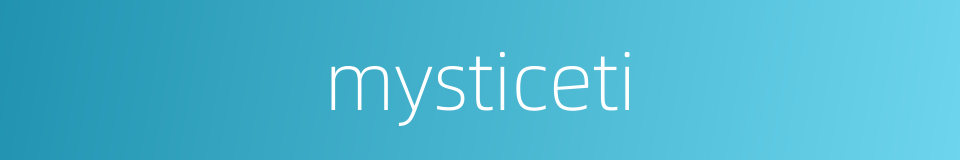 mysticeti的同义词