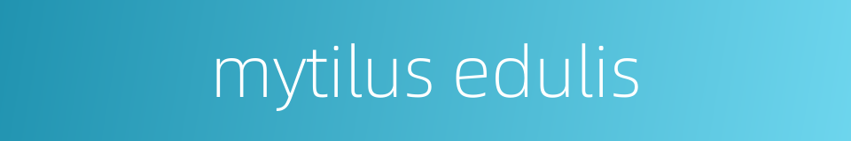 mytilus edulis的同义词