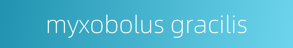 myxobolus gracilis的同义词