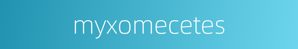myxomecetes的同义词