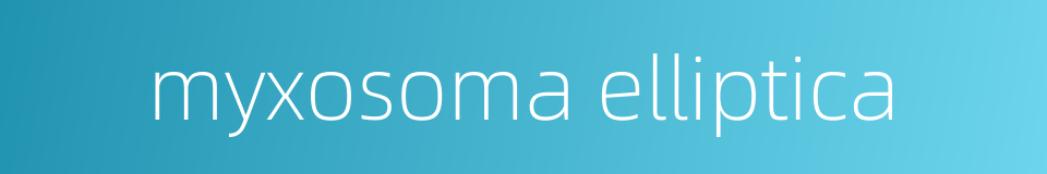 myxosoma elliptica的同义词