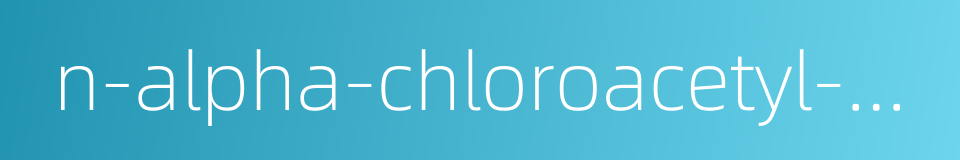 n-alpha-chloroacetyl-n-isopropyl-o ethylaniline的同义词
