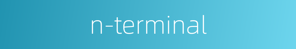 n-terminal的同义词