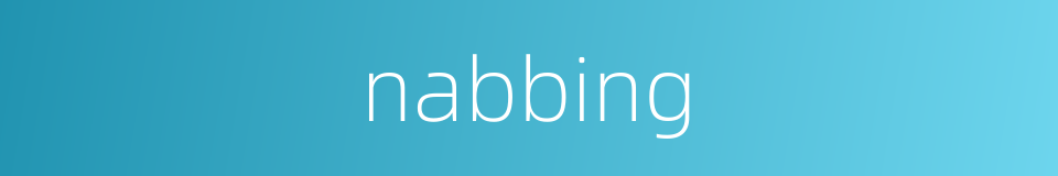 nabbing的同义词