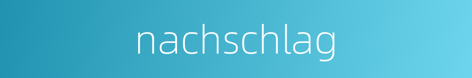 nachschlag的同义词