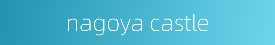 nagoya castle的同义词