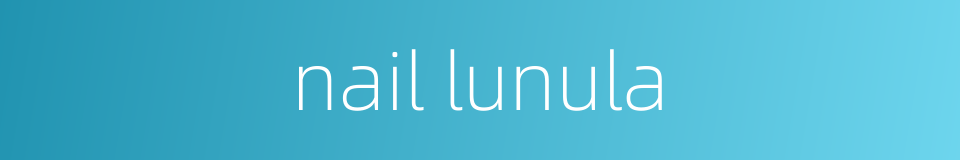 nail lunula的同义词