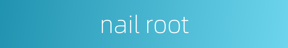 nail root的同义词