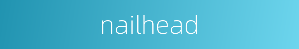 nailhead的同义词