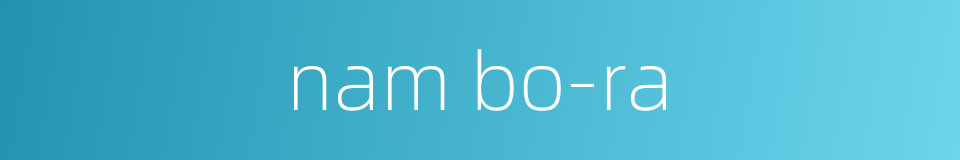nam bo-ra的同义词